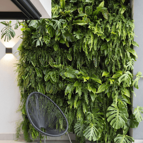Detalhe de folhagens de jiboia e samambaia em jardim vertical interno. Seleção de plantas que amam sombra para apartamentos.