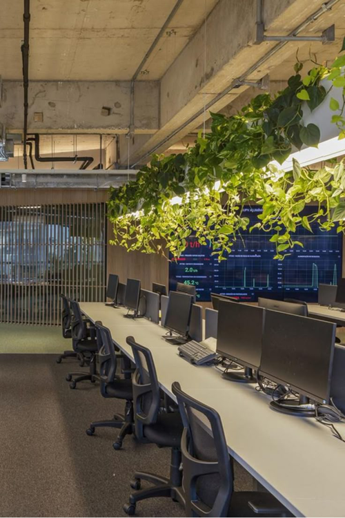 Exemplo de contato direto com a natureza através de jardins verticais no escritório