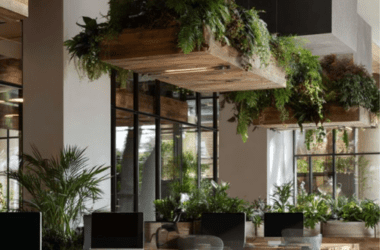 Detalhe de janela ampla com entrada de luz natural em escritório decorado com plantas e divisórias de madeira clara.