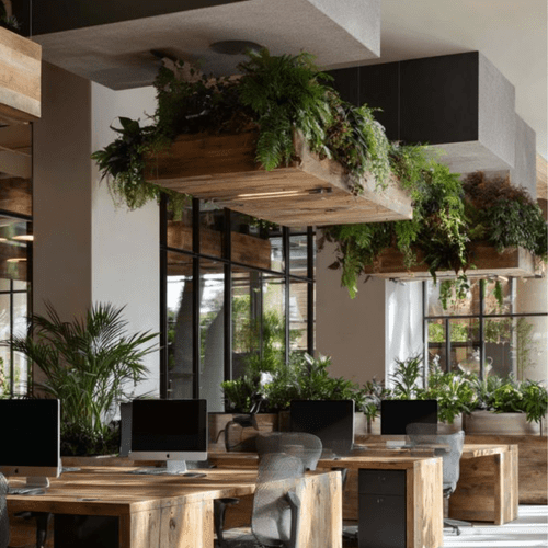 Detalhe de janela ampla com entrada de luz natural em escritório decorado com plantas e divisórias de madeira clara.