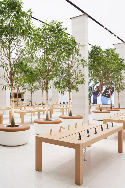 Layout em Loop (Pista de Corrida) para guiamento de fluxo